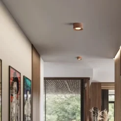 LED Ceiling Lamp 3-Color Light Source 1/2/3-Light Cylindrical Ceiling Downlight Surface Mounted Ceiling Lights for Bedroom Living Room Office Kitchen Lounge Dining Room 110-240V