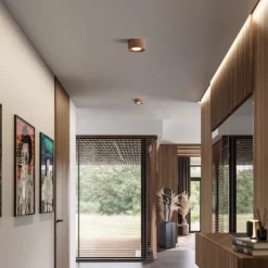 LED Ceiling Lamp 3-Color Light Source 1/2/3-Light Cylindrical Ceiling Downlight Surface Mounted Ceiling Lights for Bedroom Living Room Office Kitchen Lounge Dining Room 110-240V