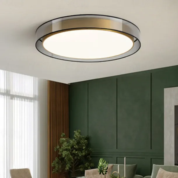 LED Ceiling Light 40/50 cm Circle Design Flush Mount Lights Metal Artistic Style Modern Style Stylish Painted Finishes LED Modern 220-240V