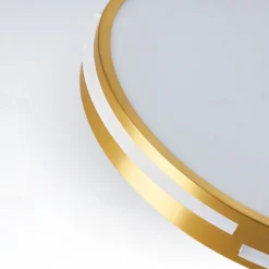 LED Ceiling Light Circle Round Design 50 cm Flush Mount Lights Copper for Living Room 110-240V