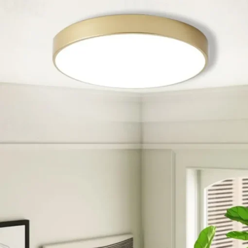 LED Ceiling Light Macaron Dimmable 40cm/50cm/60cm Ceiling Lights for Living Room Bedroom Office 110-240V