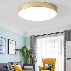 LED Ceiling Light Macaron Dimmable 40cm/50cm/60cm Ceiling Lights for Living Room Bedroom Office 110-240V