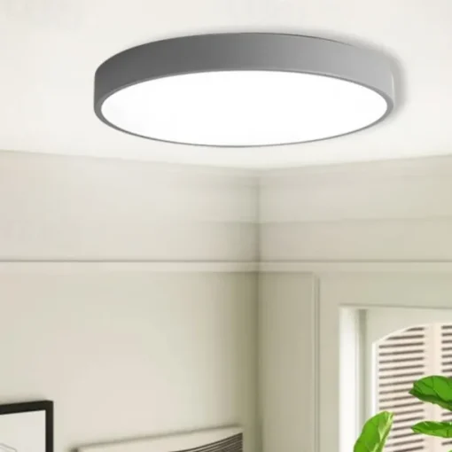 LED Ceiling Light Macaron Dimmable 40cm/50cm/60cm Ceiling Lights for Living Room Bedroom Office 110-240V