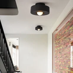 LED Ceilling Light Flush Mount Ceiling Light 30cm Resin LED Ceiling Light Modern Round Ceiling Light Ceiling Lamp for Living Room Corridor