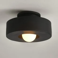 LED Ceilling Light Flush Mount Ceiling Light 30cm Resin LED Ceiling Light Modern Round Ceiling Light Ceiling Lamp for Living Room Corridor