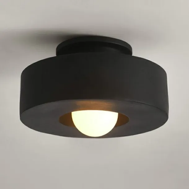 LED Ceilling Light Flush Mount Ceiling Light 30cm Resin LED Ceiling Light Modern Round Ceiling Light Ceiling Lamp for Living Room Corridor