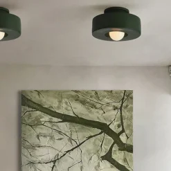 LED Ceilling Light Flush Mount Ceiling Light 30cm Resin LED Ceiling Light Modern Round Ceiling Light Ceiling Lamp for Living Room Corridor
