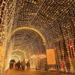 LED Fairy String Light 100M 800Leds 50M 400Leds 8 Modes Waterproof Flexible Christmas Holiday Light for Xmas Tree Party Yard Garden Patio Colorful Lighting EU US AU UK Plug