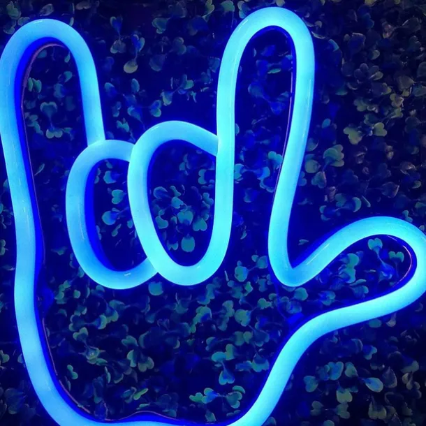 LED Neon Rope Lights 5M 16.4Ft, 12V Flexible IP65 Waterproof Silicone Neon Strip Lights, Ideal for Bedroom, Kitchen, Indoor/Outdoor Decoration (Power Adapter Not Included)