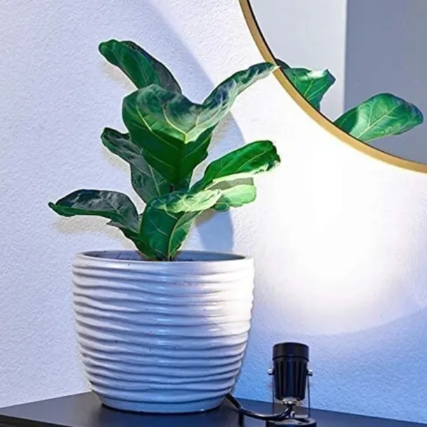 LED Spot Light USB Interface Dimming Color Adjustment Timed Spotlight Warm Light White Light Neutral Light Projection Light Indoor Plant Lighting Decoration Atmosphere Light Plant Landscape Decoration Light 1pc