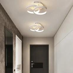 1-Ligh 22.5cm LED Ceiling Light Modern Simple Style Bedroom Living Room Creative Personality Geometric Shapes Dimmable Metal Porch Into The Door Lighting 18W