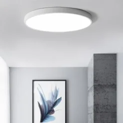 1-Light 40 cm Dimmable Ceiling Light LED Flush Mount Lights Acrylic LED 110-120V / 220-240V / ROHS
