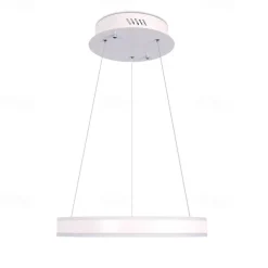 2-Light LED Pendant Light Metal Acrylic Circle Painted Finishes Modern Contemporary 110-120V 220-240V