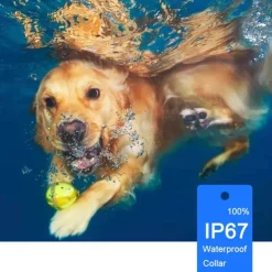 800m Electric Dog Training Collar Waterproof Rechargeable Remote Control With Lock Button Shock Vibration Sound Type C Charger