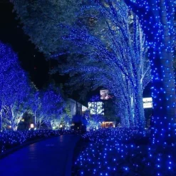 20m 66ft 200LED String Lights Dip Led Weatherproof Decorative Lighting for Bedroom Patio Indoor Outdoor Home Kids Room Christmas Tree Holiday Party