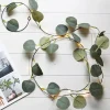 2M 20LEDs Eucalyptus Vine LED String Light Battery Operation Christmas Room Decoration Rattan Lights Valentine's Day Decoration Fairy Lights