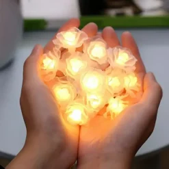 3M Rose String Lights 20 LEDs, Valentines USB Powered Fairy String Lights Warm White, Cold White, RGB for Wedding Decorative Lights, Indoor & Outdoor Decor
