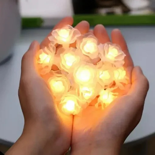3M Rose String Lights 20 LEDs, Valentines USB Powered Fairy String Lights Warm White, Cold White, RGB for Wedding Decorative Lights, Indoor & Outdoor Decor