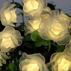 3M Rose String Lights 20 LEDs, Valentines USB Powered Fairy String Lights Warm White, Cold White, RGB for Wedding Decorative Lights, Indoor & Outdoor Decor