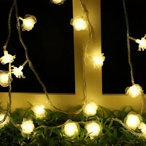 3M Rose String Lights 20 LEDs, Valentines USB Powered Fairy String Lights Warm White, Cold White, RGB for Wedding Decorative Lights, Indoor & Outdoor Decor