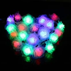 3M Rose String Lights 20 LEDs, Valentines USB Powered Fairy String Lights Warm White, Cold White, RGB for Wedding Decorative Lights, Indoor & Outdoor Decor