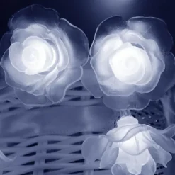3M Rose String Lights 20 LEDs, Valentines USB Powered Fairy String Lights Warm White, Cold White, RGB for Wedding Decorative Lights, Indoor & Outdoor Decor
