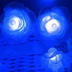 3M Rose String Lights 20 LEDs, Valentines USB Powered Fairy String Lights Warm White, Cold White, RGB for Wedding Decorative Lights, Indoor & Outdoor Decor