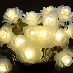 3M Rose String Lights 20 LEDs, Valentines USB Powered Fairy String Lights Warm White, Cold White, RGB for Wedding Decorative Lights, Indoor & Outdoor Decor