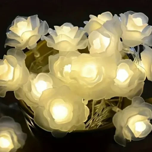3M Rose String Lights 20 LEDs, Valentines USB Powered Fairy String Lights Warm White, Cold White, RGB for Wedding Decorative Lights, Indoor & Outdoor Decor