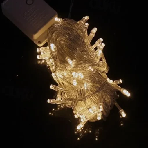 10M 9.6W Flash 100-LED Warm WhiteCool White Light Strip Light Lamp Christmas light string (EU Plug , AC 220V)