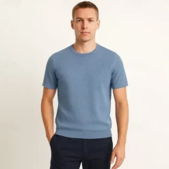 Male Silk Cotton Lyocell Blend T-Shirt Short Sleeve Crew Neck Summer Plain Jacquard Elegant Classic Crewneck Minimalist Vacation Home Cotton Black Blue Navy Blue Top Tee for Men