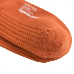 Men 1 Pair Socks No Show & Liner Socks Black White Color Plain School Formal Outdoor Medium Summer Spring Fall Daily Casual