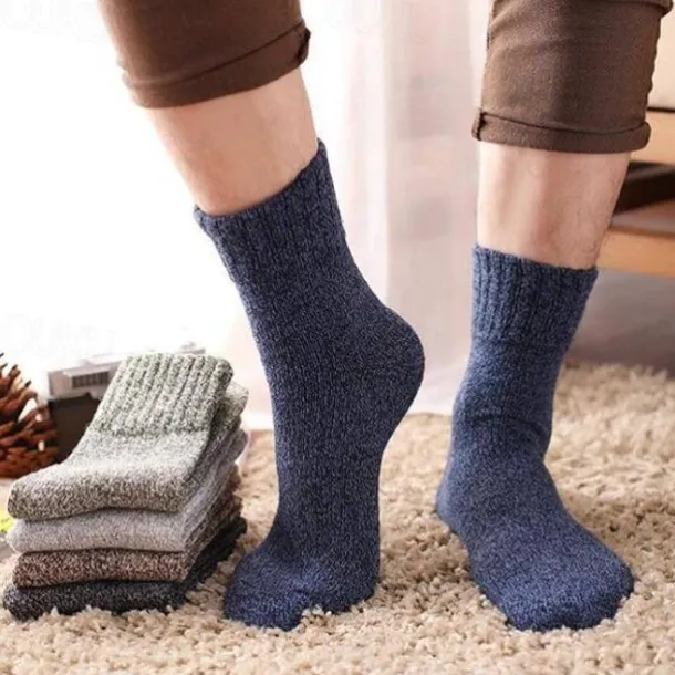 Men's 5 Pairs 5 colors Color Home Office Daily Fall Winter Basic Casual