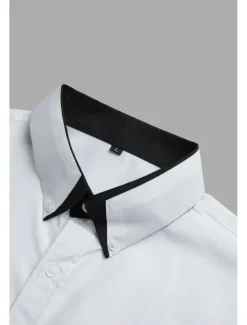 Men's Dress Shirt Button Down Shirt Collared Shirt Non Iron Shirt Plain Wedding Work White Pink Navy Blue Royal Blue Long Sleeve Collar All Seasons Clothing Apparel