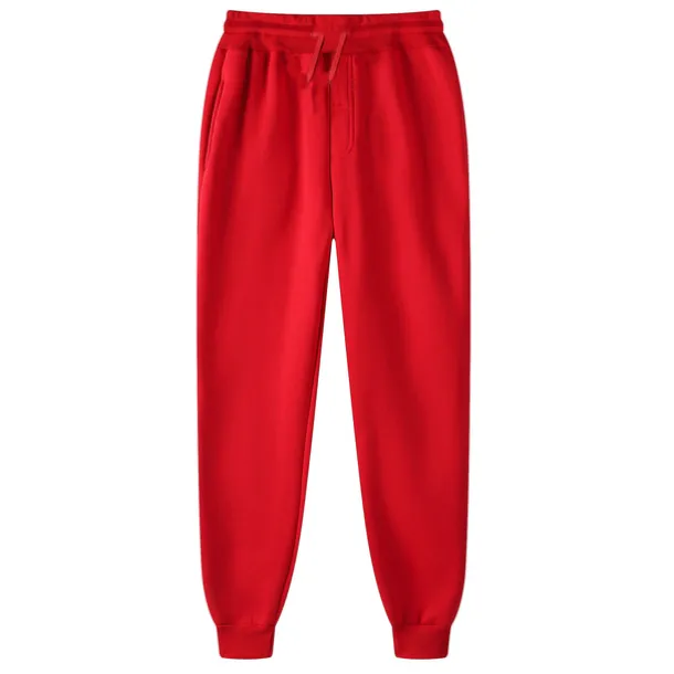 Men's Fleece Pants Sweatpants Joggers Winter Pants Trousers Pocket Drawstring Elastic Waist Solid Color Warm Full Length Daily Casual Plus velvet Loose Fit Light gray-pure light board Dark gray-light