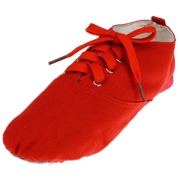 Men's Jazz Shoes Practice Trainning Dance Shoes Stage Performance Flat Sneaker Flat Heel Lace-up White Black Red