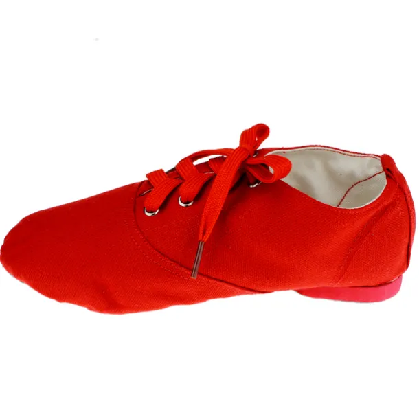 Men's Jazz Shoes Practice Trainning Dance Shoes Stage Performance Flat Sneaker Flat Heel Lace-up White Black Red