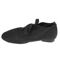 Men's Jazz Shoes Practice Trainning Dance Shoes Stage Performance Flat Sneaker Flat Heel Lace-up White Black Red