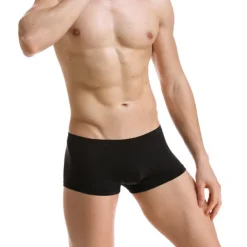 Men's 1pack Underwear Boxers Underwear Basic Polyester Pure Color Low Waist Light Blue Black