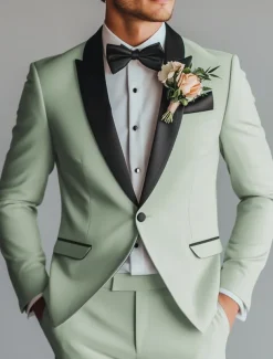 Men's Prom Fall Wedding Party Suits Peaked Lapel Light Green Fashion Formal Solid Colored Standard Fit 2 Piece Single Breasted One-button
