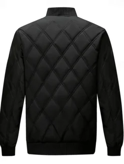 Men's Puffer Jacket Bomber Jacket Padded Zipper Pocket Polyster Pocket Outdoor Date Casual Daily Regular Fashion Casual Thermal Warm Windproof Winter Plain Dark Grey Black Puffer Jacket
