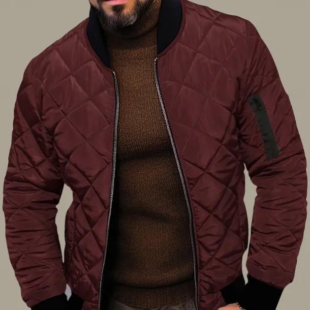 Men's Quilted Jacket Transition Jacket Going out Pocket Spring & Fall Plain Streetwear Standing Collar Regular Black Wine Blue Red Army Green Jacket