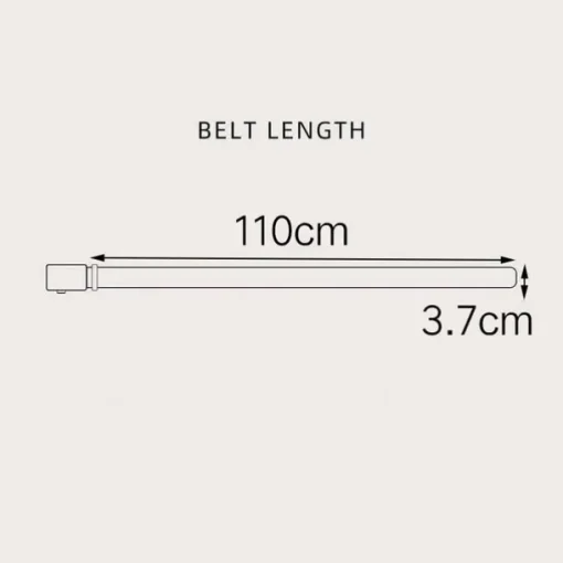 Men's Sashes Belt Men's belt Waist Belt Black Brown PU Leather Alloy Modern Contemporary Solid / Plain Color Daily Wear Vacation Casual Daily