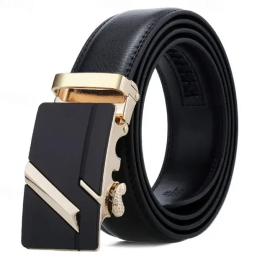 Men's Sashes Belt Men's belt Waist Belt Silver Wine Red PU Leather Alloy Modern Contemporary Solid / Plain Color Daily Wear Vacation Casual Daily