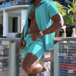 Men's Shirt Suits 2 Pieces Outfits Tee & Shorts Short Sleeve Lapel Summer Plain Fashion Casual Buttons 2 Piece Vacation Daily Wear Going out Black White Red Top Tee for Men