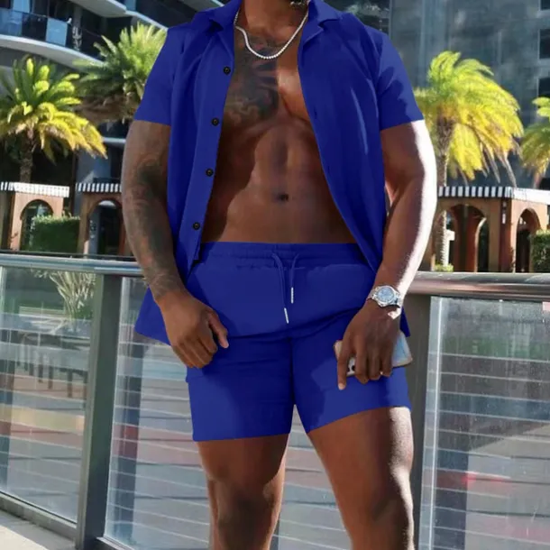 Men's Shirt Suits 2 Pieces Outfits Tee & Shorts Short Sleeve Lapel Summer Plain Fashion Casual Buttons 2 Piece Vacation Daily Wear Going out Black White Red Top Tee for Men