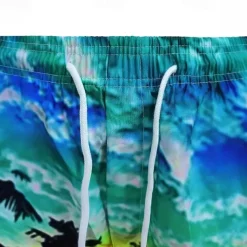 Men's Swim Trunks Swim Shorts Board Shorts Bottoms Drawstring with Pockets Swimming Surfing Beach Water Sports Tropical Printed Summer Spring