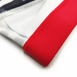 Men's Swimwear Swim Shorts Shorts Swim Briefs Print Stripe Comfort Breathable Outdoor Daily Going out Sports Hawaiian Black Red