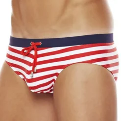 Men's Swimwear Swim Shorts Shorts Swim Briefs Print Stripe Comfort Breathable Outdoor Daily Going out Sports Hawaiian Black Red