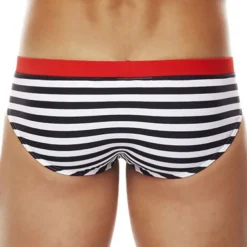Men's Swimwear Swim Shorts Shorts Swim Briefs Print Stripe Comfort Breathable Outdoor Daily Going out Sports Hawaiian Black Red